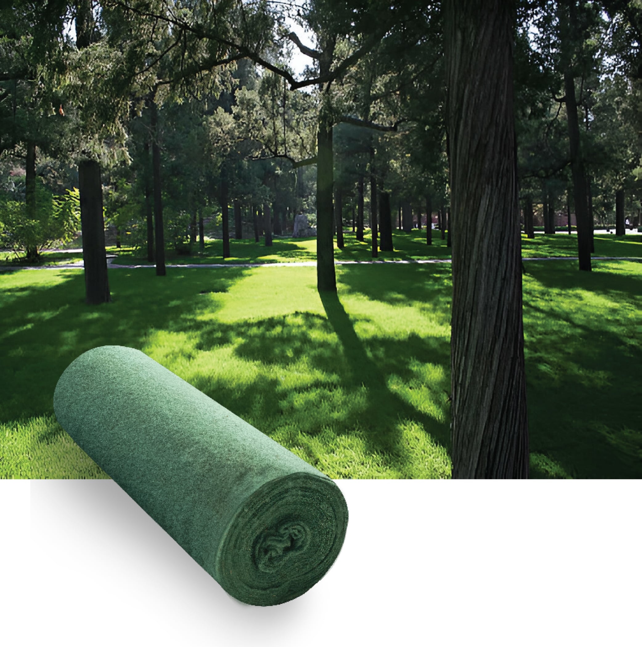 Frömatta Gräs Skugga